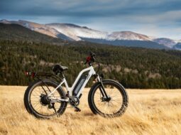 Electric Bikes
